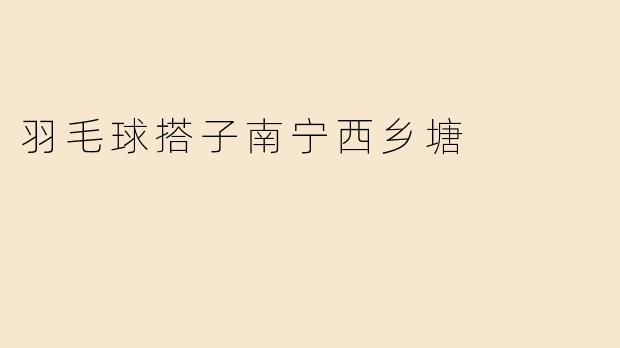 羽毛球搭子南宁西乡塘