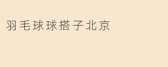 羽毛球球搭子北京