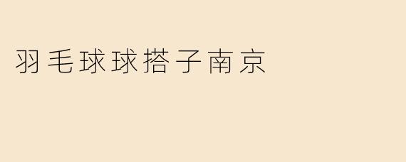 羽毛球球搭子南京