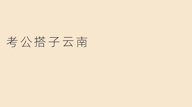 考公搭子云南