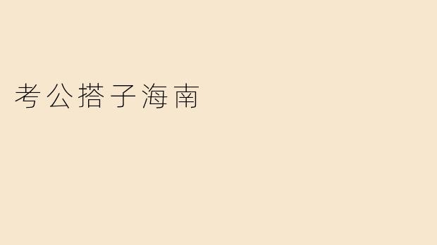 考公搭子海南