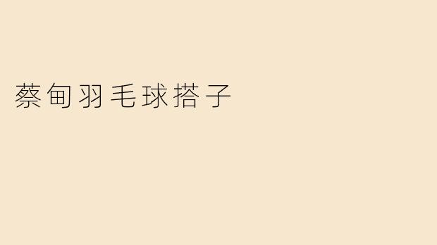 蔡甸羽毛球搭子