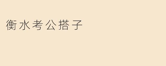 “衡水考公搭子：备考路上的同行者与压力下的共生现象”