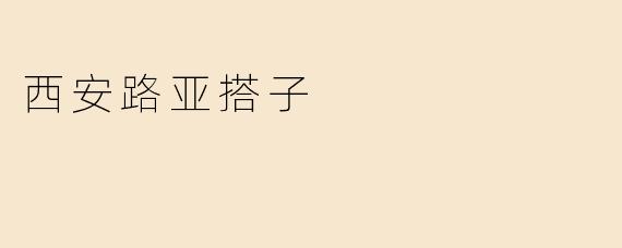 西安路亚搭子