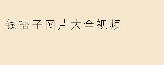 《“钱搭子”图片大全视频：创意理财搭档的视觉盛宴与实用指南》