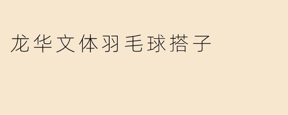 龙华文体羽毛球搭子