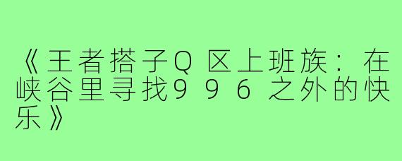 《王者搭子Q区上班族：在峡谷里寻找996之外的快乐》