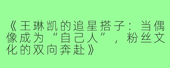 《王琳凯的追星搭子：当偶像成为“自己人”，粉丝文化的双向奔赴》