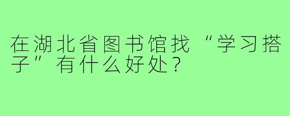 在湖北省图书馆找“学习搭子”有什么好处？