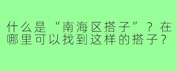 什么是“南海区搭子”?在哪里可以找到这样的搭子?