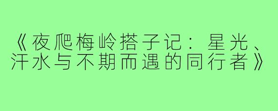 《夜爬梅岭搭子记：星光、汗水与不期而遇的同行者》