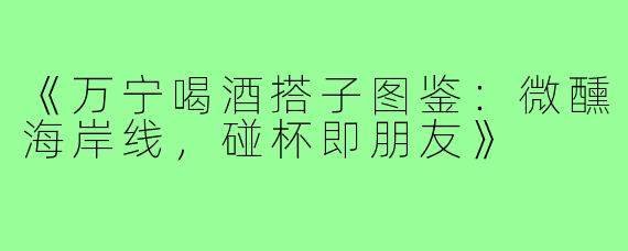 《万宁喝酒搭子图鉴：微醺海岸线，碰杯即朋友》