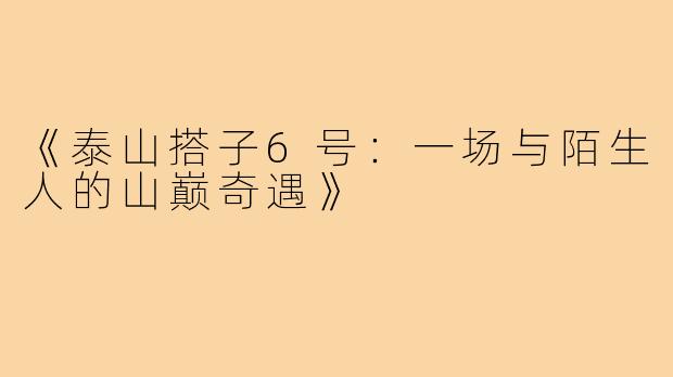 《泰山搭子6号：一场与陌生人的山巅奇遇》