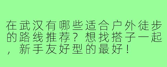 在武汉有哪些适合户外徒步的路线推荐？想找搭子一起，新手友好型的最好！