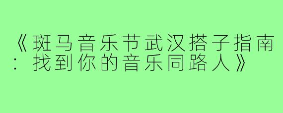《斑马音乐节武汉搭子指南：找到你的音乐同路人》