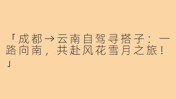 「成都→云南自驾寻搭子:一路向南,共赴风花雪月之旅!」