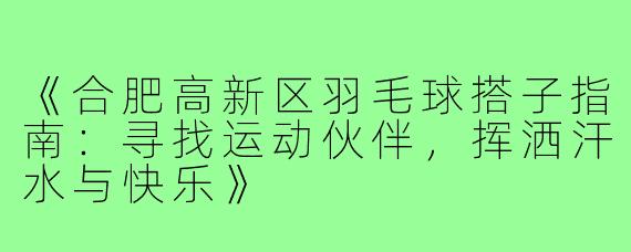 《合肥高新区羽毛球搭子指南：寻找运动伙伴，挥洒汗水与快乐》
