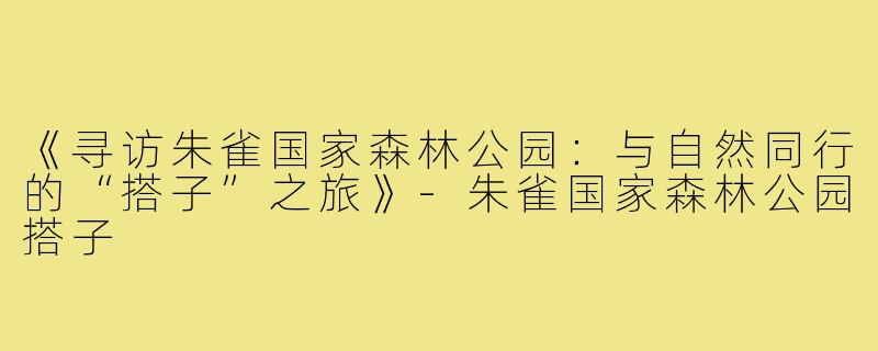 《寻访朱雀国家森林公园:与自然同行的“搭子”之旅》-朱雀国家森林公园搭子