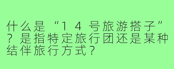 什么是“14号旅游搭子”？是指特定旅行团还是某种结伴旅行方式？