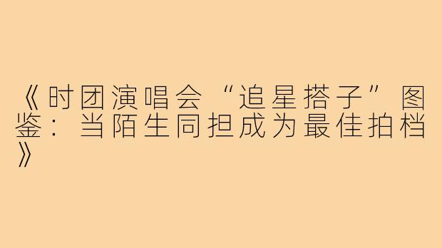 《时团演唱会“追星搭子”图鉴：当陌生同担成为最佳拍档》