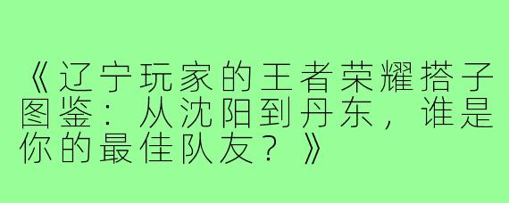 《辽宁玩家的王者荣耀搭子图鉴：从沈阳到丹东，谁是你的最佳队友？》