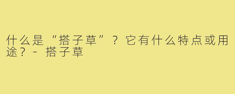 什么是“搭子草”？它有什么特点或用途？-搭子草