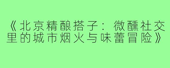 《北京精酿搭子：微醺社交里的城市烟火与味蕾冒险》