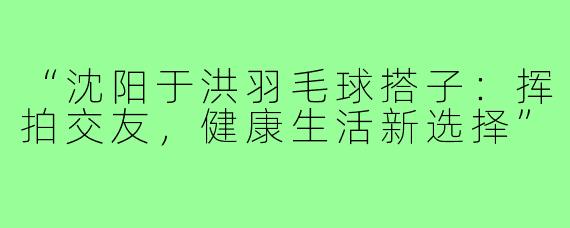 “沈阳于洪羽毛球搭子:挥拍交友,健康生活新选择”