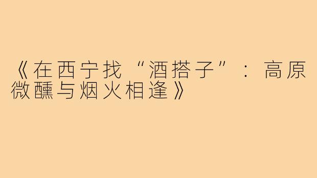 《在西宁找“酒搭子”：高原微醺与烟火相逢》
