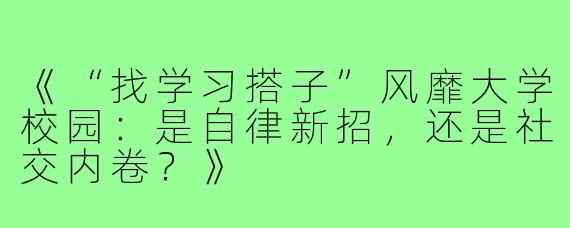 《“找学习搭子”风靡大学校园：是自律新招，还是社交内卷？》