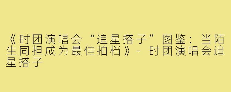 《时团演唱会“追星搭子”图鉴：当陌生同担成为最佳拍档》-时团演唱会追星搭子
