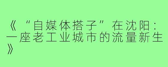 《“自媒体搭子”在沈阳：一座老工业城市的流量新生》