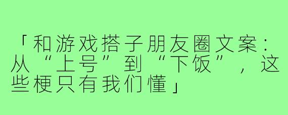 「和游戏搭子朋友圈文案:从“上号”到“下饭”,这些梗只有我们懂」