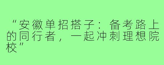 “安徽单招搭子：备考路上的同行者，一起冲刺理想院校”