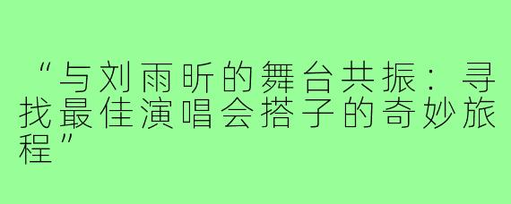 “与刘雨昕的舞台共振：寻找最佳演唱会搭子的奇妙旅程”
