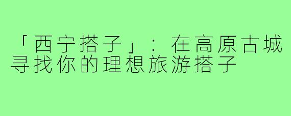 「西宁搭子」：在高原古城寻找你的理想旅游搭子