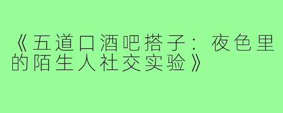 《五道口酒吧搭子：夜色里的陌生人社交实验》
