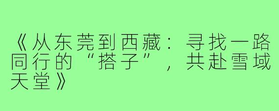 《从东莞到西藏：寻找一路同行的“搭子”，共赴雪域天堂》