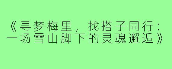 《寻梦梅里，找搭子同行：一场雪山脚下的灵魂邂逅》