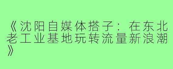 《沈阳自媒体搭子：在东北老工业基地玩转流量新浪潮》