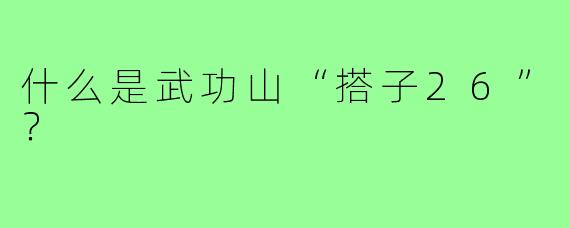 什么是武功山“搭子26”?