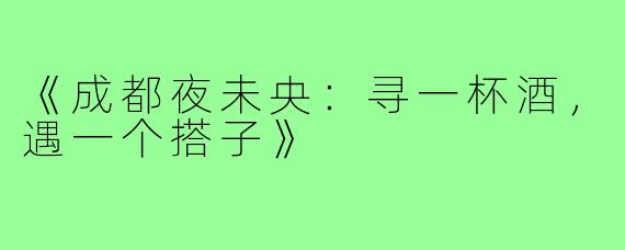 《成都夜未央：寻一杯酒，遇一个搭子》