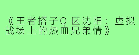 《王者搭子Q区沈阳:虚拟战场上的热血兄弟情》