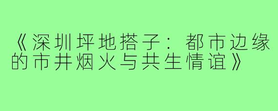 《深圳坪地搭子：都市边缘的市井烟火与共生情谊》