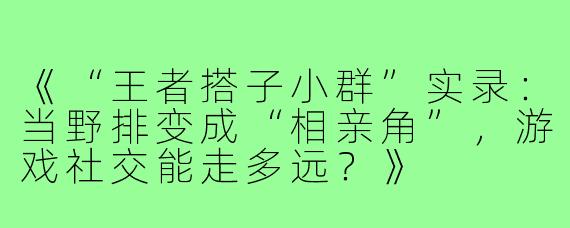 《“王者搭子小群”实录：当野排变成“相亲角”，游戏社交能走多远？》