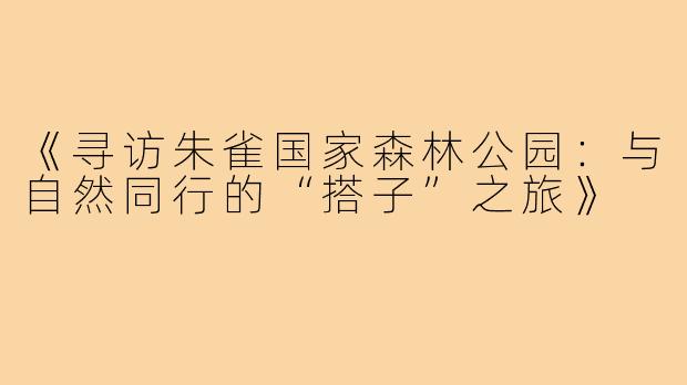 《寻访朱雀国家森林公园:与自然同行的“搭子”之旅》