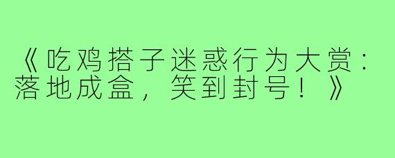 《吃鸡搭子迷惑行为大赏:落地成盒,笑到封号!》