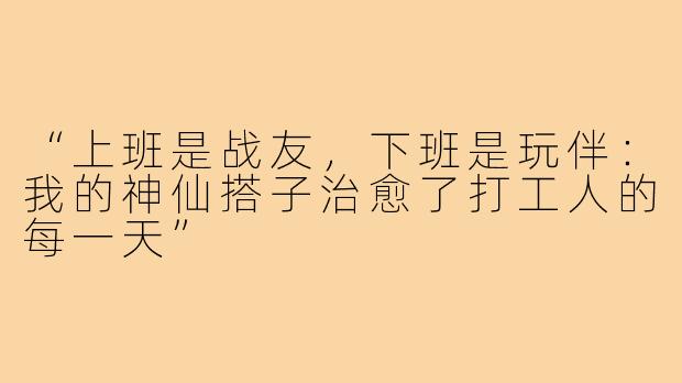 “上班是战友,下班是玩伴:我的神仙搭子治愈了打工人的每一天”