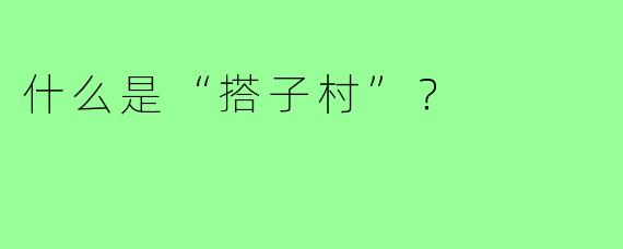 什么是“搭子村”?