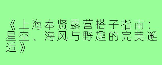 《上海奉贤露营搭子指南：星空、海风与野趣的完美邂逅》